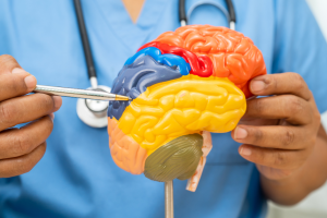 Alzheimer, svelato il meccanismo che scatena la malattia